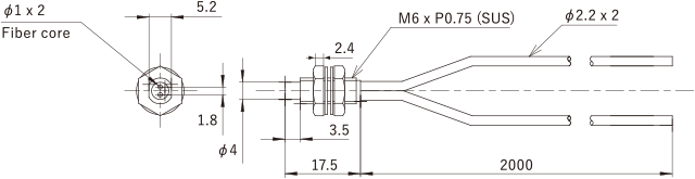 NF-DM6-H10